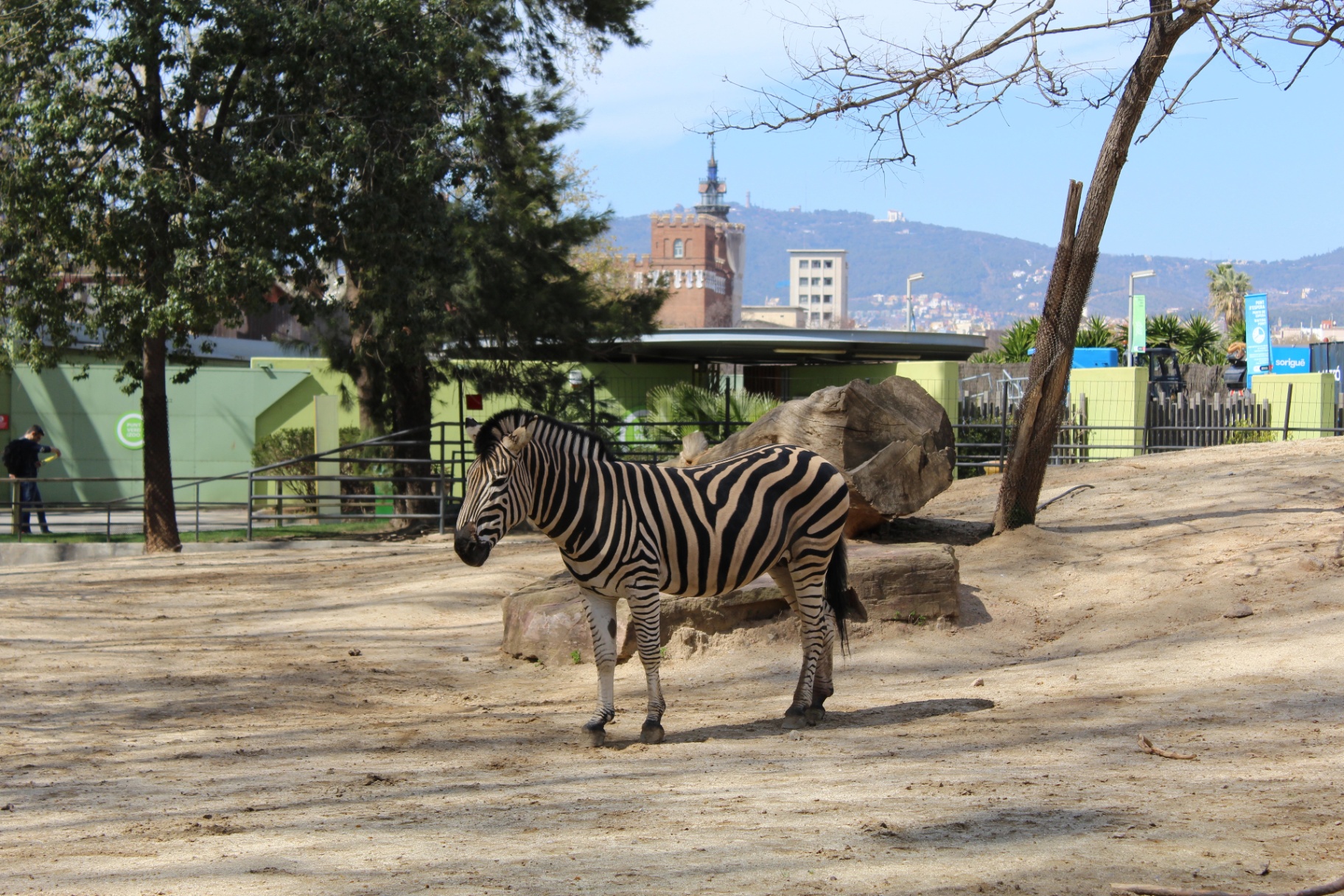 Zoo di Barcellona